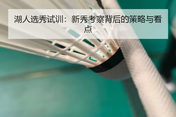 湖人选秀试训：新秀考察背后的策略与看点