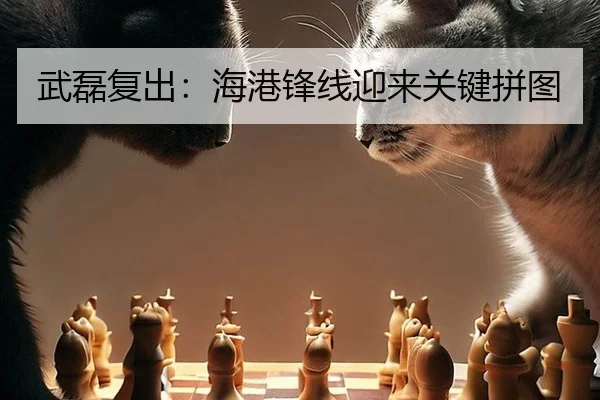 武磊复出：海港锋线迎来关键拼图